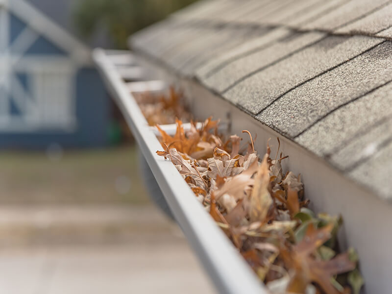 Eavestrough Cleaning