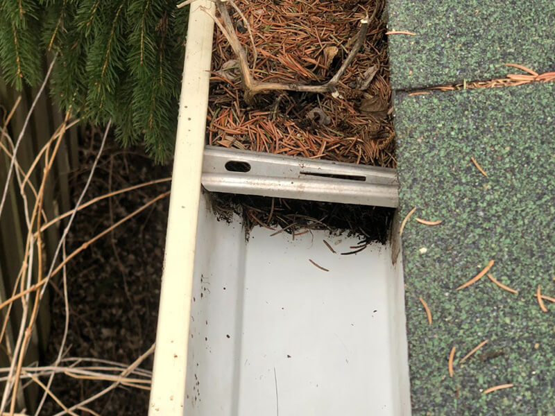 Gutter Cleaning