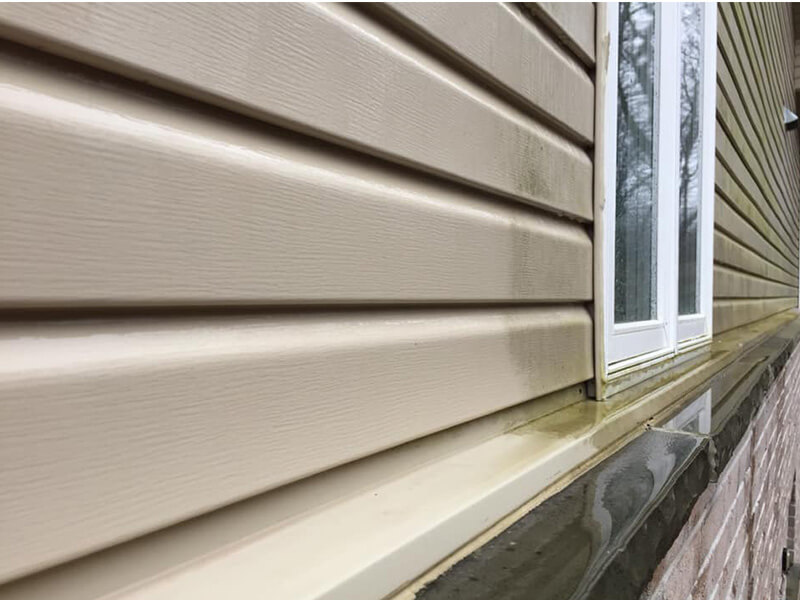 Siding Cleaning